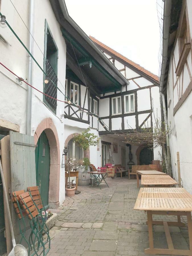Fuxbau Daire Neustadt an der Weinstraße Dış mekan fotoğraf